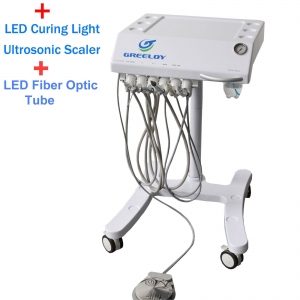 Portable Dental Delivery System Cart Unit + Curing Light + Scaler + Fiber Optic